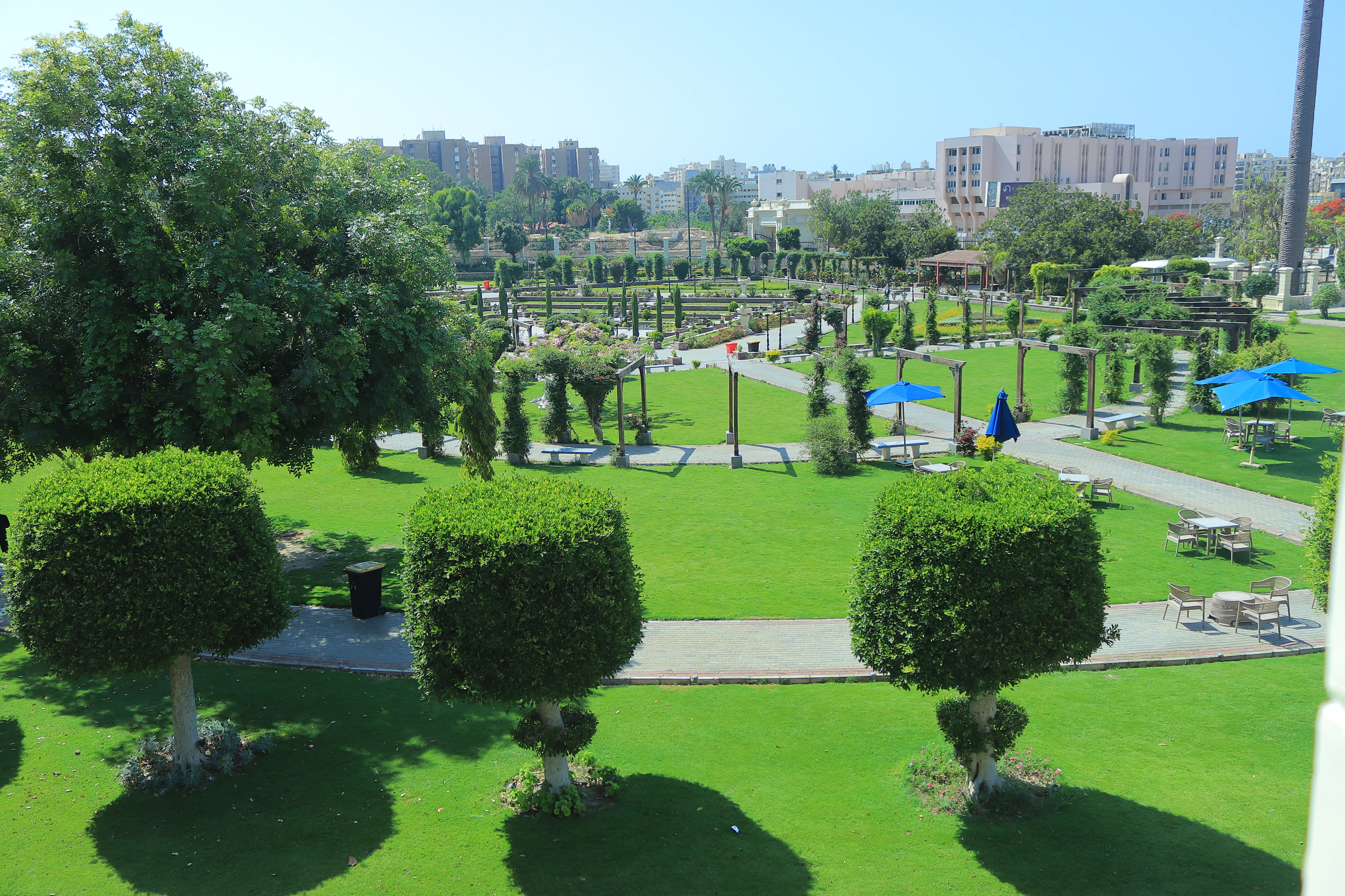 Historic Palace View