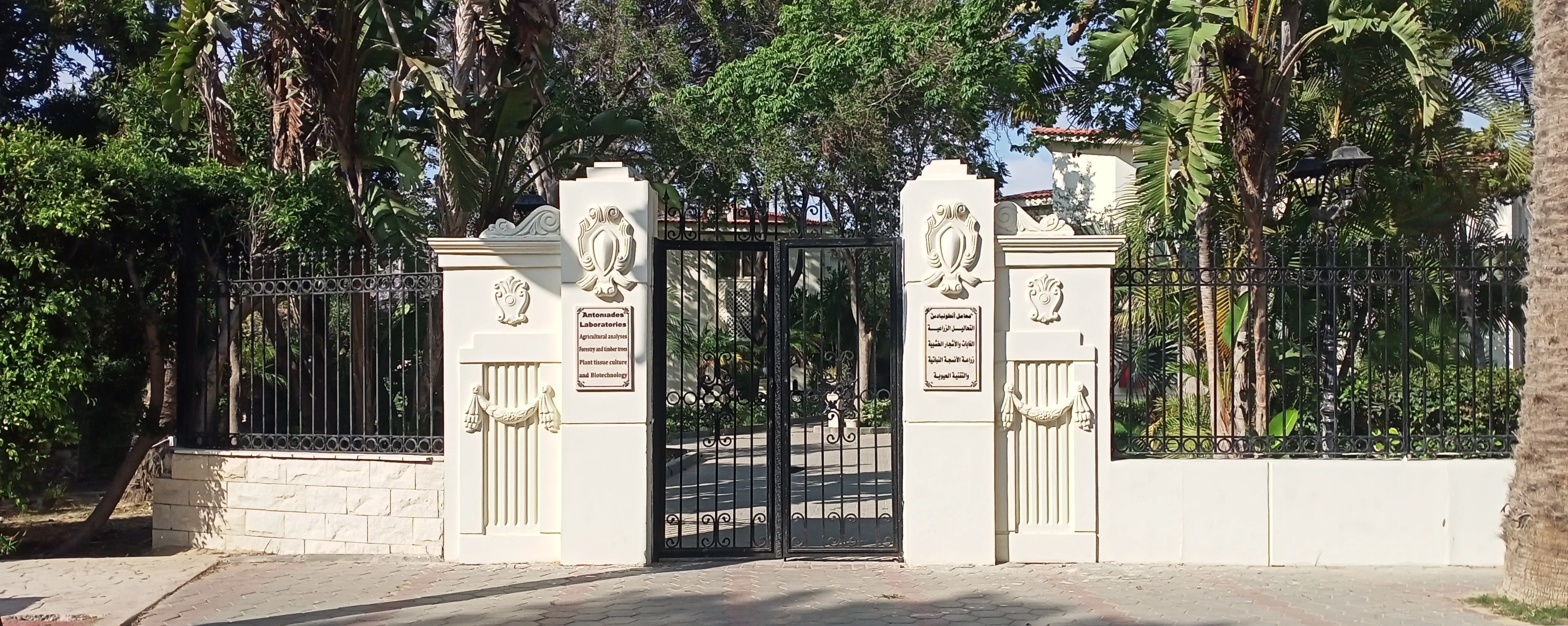 Historic Palace View