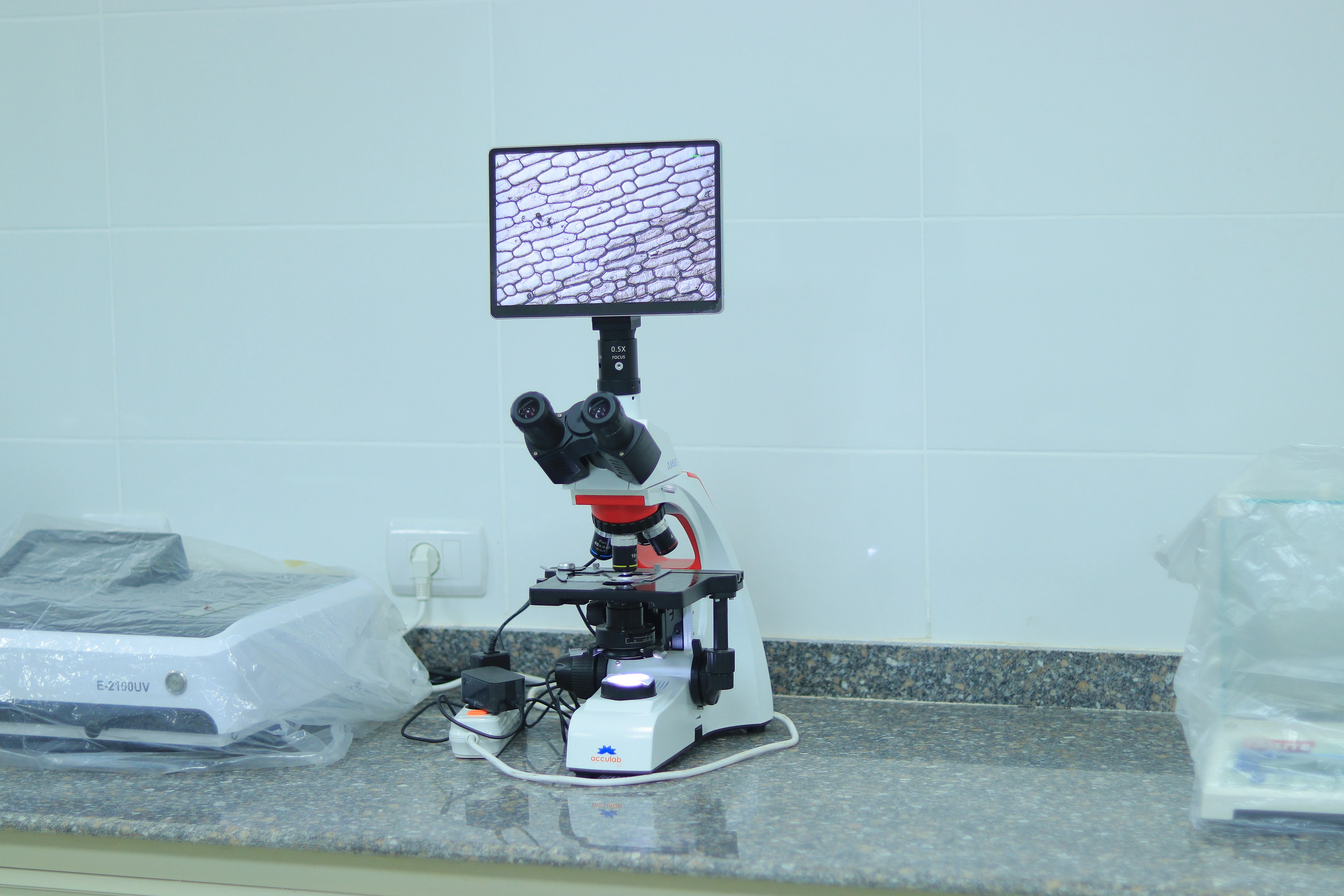 Biological microscope with screen