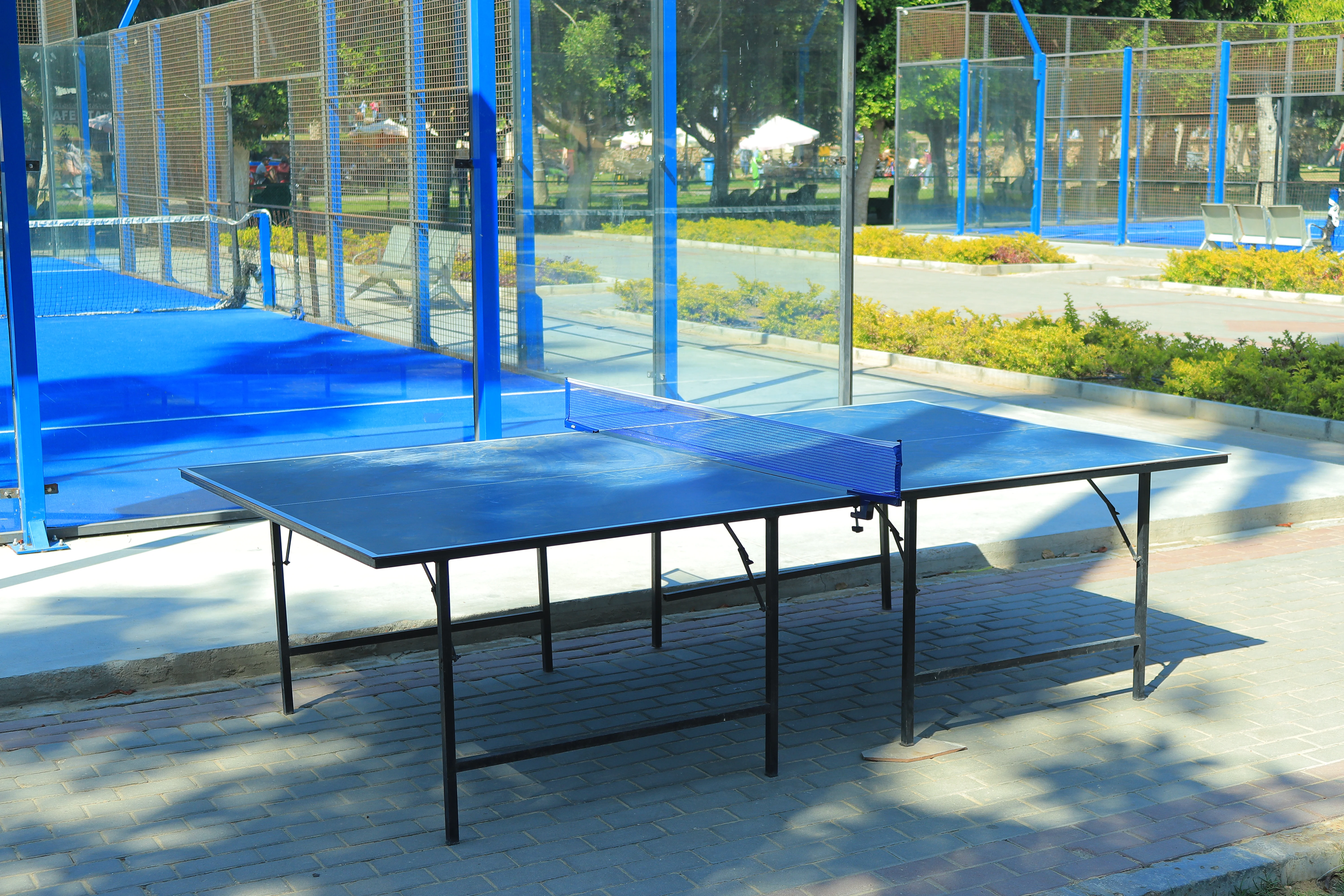 Ping Pong Table